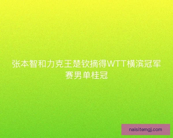 张本智和力克王楚钦摘得WTT横滨冠军赛男单桂冠 张本智和力克王楚钦摘得WTT横滨冠军赛男单桂冠
